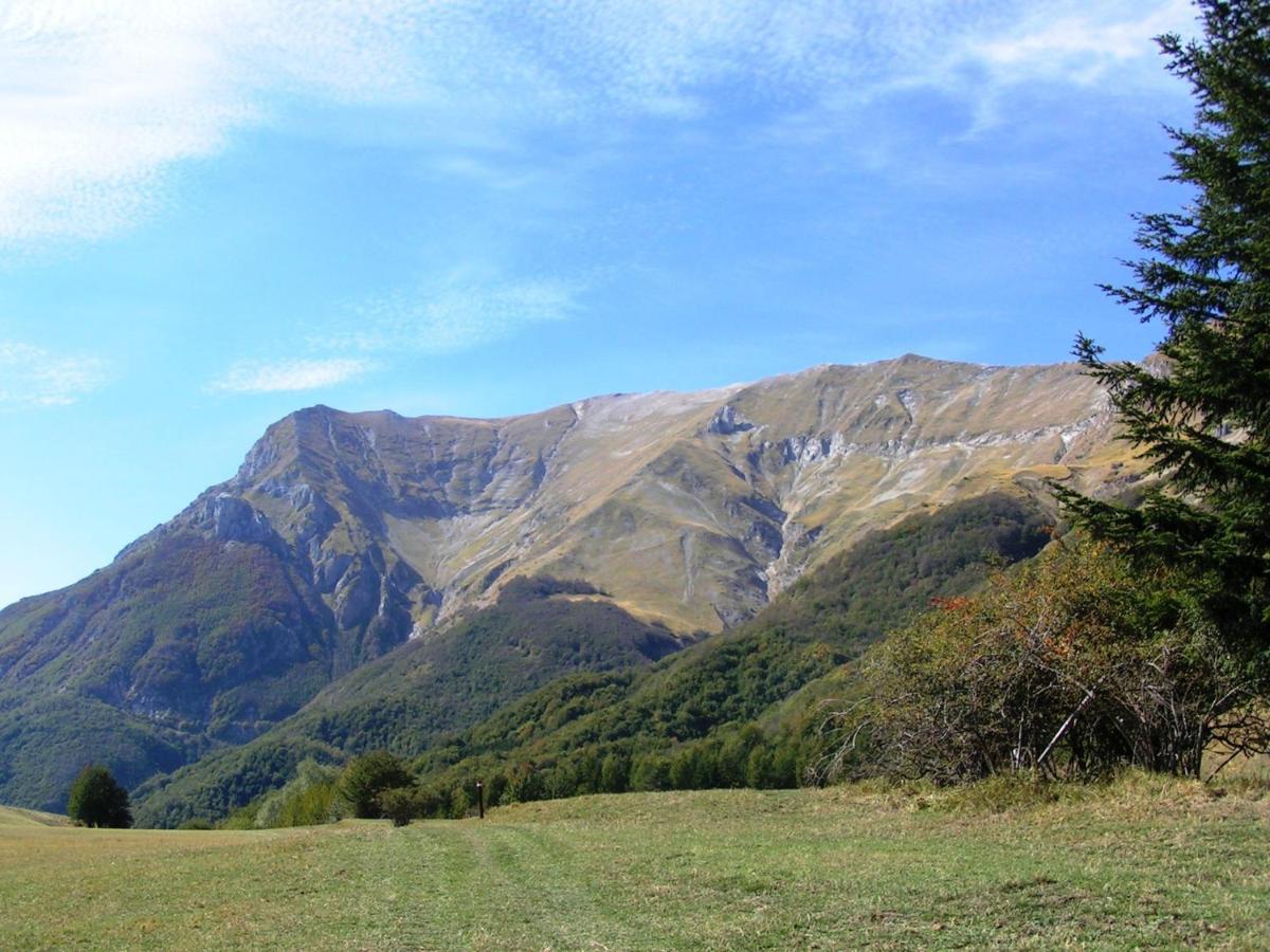 Agriturismo Le Castellare مونتيموناكو المظهر الخارجي الصورة