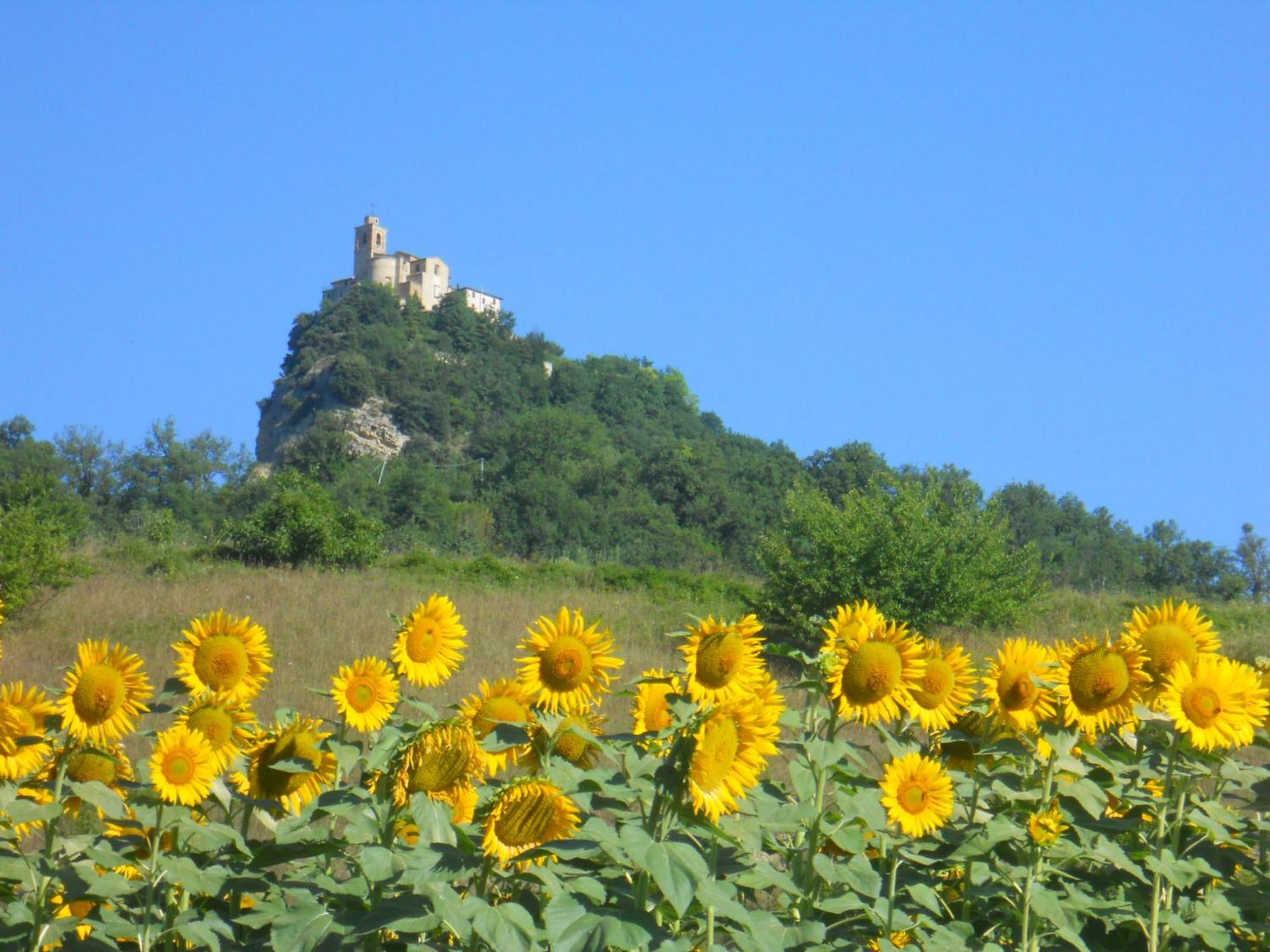 Agriturismo Le Castellare مونتيموناكو المظهر الخارجي الصورة